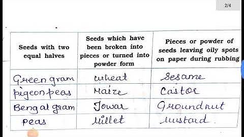 Environment  Standard:5 Chapter 3 [Developmental Journey of seed ]