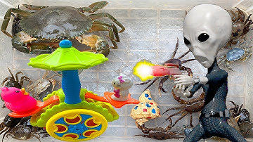 Kem Ốc Chanel và con cua cứu con mèo, con vịt, con cá. Cắm trại nhà giàu, nhà nghèo trong kì nghỉ hè