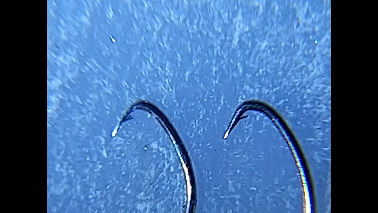 タナゴ釣り「研ぎ針」（初心者🔰レベルです）I sharpened the hook for micro fishing