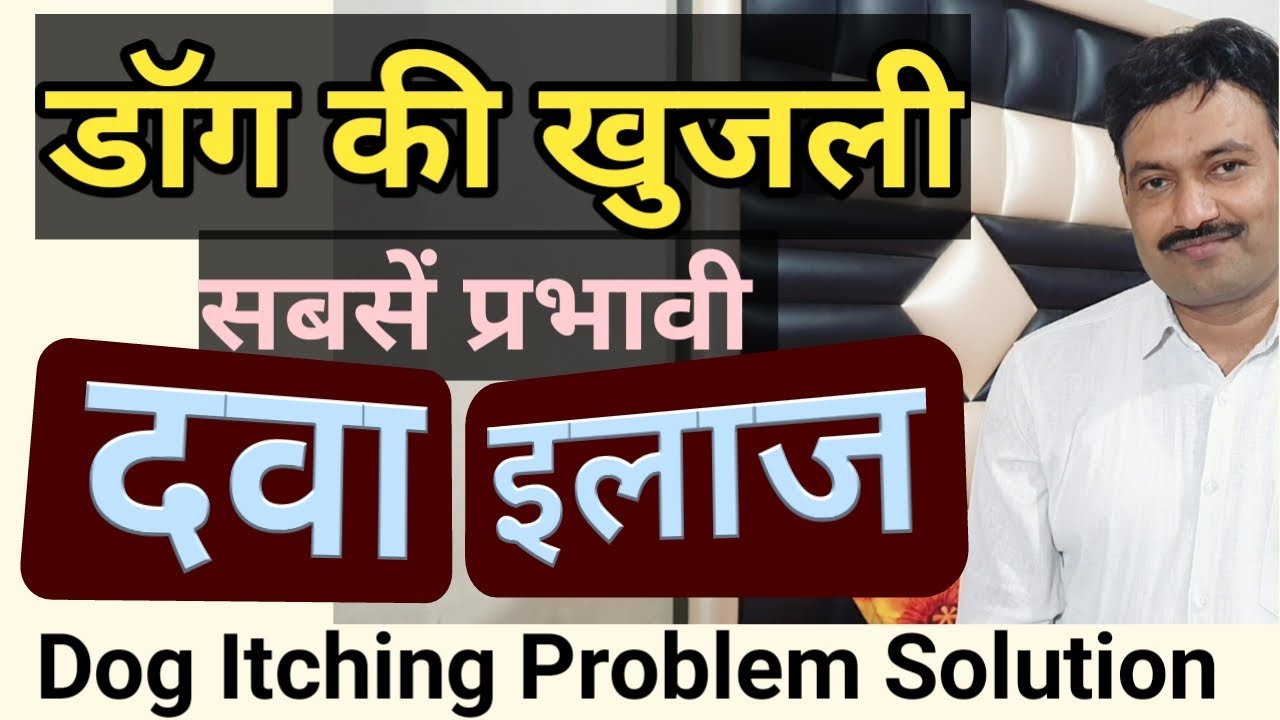 pet dog kutte ki khujli ka ilaj / dawa / medicine कुत्ते डॉग की खुजली