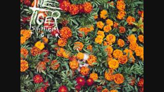 Miniatura del video "TIGER! SHIT! TIGER! TIGER! - TWINS (FOREVER YOUNG LP/CD)"