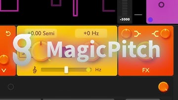 GS DSP MagicDelay & MagicPitch