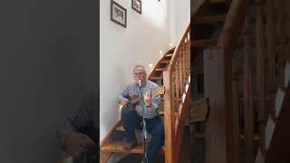 'Zielona trawa' Waganci - cover Wiesław  Banaś