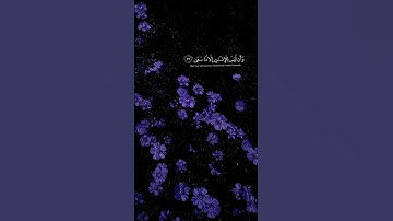 {وَأَنْ لَيْسَ لِلْإِنْسَانِ إِلَّا مَا سَعَىٰ}عبد الباسط|سورة النجم|#عبدالباسط_عبدالصمد #عبد_الباسط