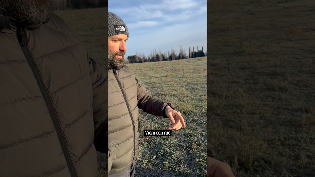 Zoofarmacognosia: capacità degli animali di selezionare autonomamente sostanze curative #cani