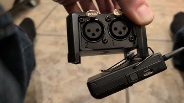 Louis blatantly violates Glenn Sanders