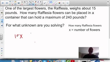 One-Step Equations--Word Problems