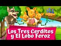 Los tres cerditos y el lobo feroz   un cuento infantil favorito 