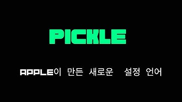 JSON, yaml 대체자 pkl, 5분만에 알아보기
