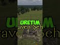 Kuşatma Yapmayı BIRAKIN! ❌ En Sinsi Taktik! 🤯 #shorts #warband #mountandblade #gameplay #shortvideo