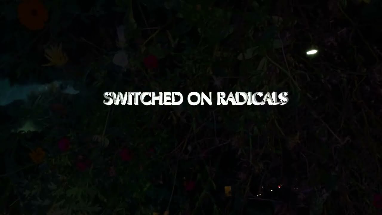 Horse Trader - Switched On Radicals Official Video