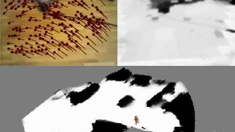 Humanoid Navigation Based on RGB Camera Images and Odometry