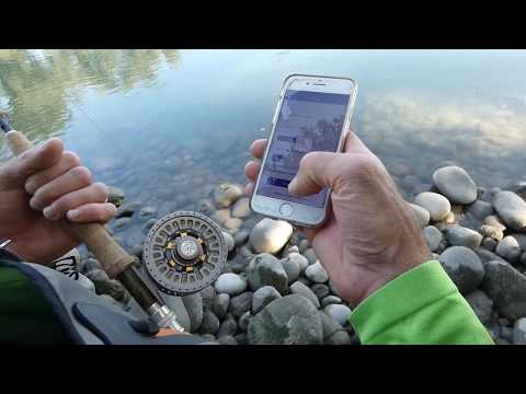 Hooking App Permessi Di Pesca Digitali