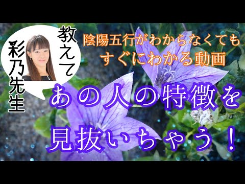 【占い】あの人の性格は？あの人はどんな人が好み？陰陽五行で紐解くナイト！【&安倍晴明神社の話】固定コメントでcheckしてね✨