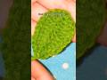 Crochet leaf #growth #crochet #subscribe #trending #smallbusiness #viral #shorts #support