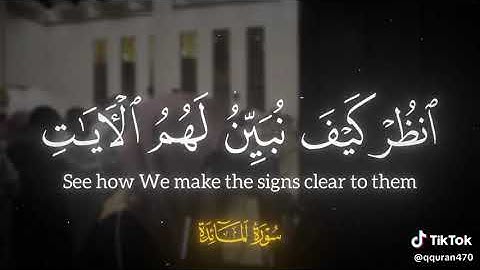 سوره المائده || أفلا يتوبون إلى الله || للشيخ محمد اللحيدان 💞 