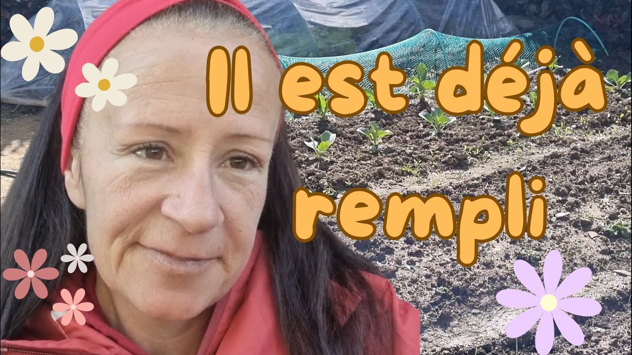 Mon potager plaisir, plantation des betteraves, des brocolis, des echaillons et des carottes....