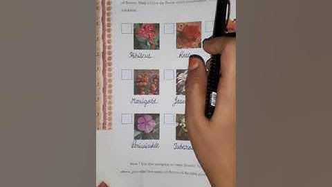 Std-4/ENV./L-11(part-1)In the Orchard