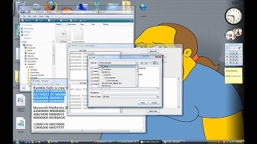 Brawl Modding Tutorial - Introduction To Codes