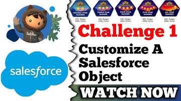 Customize a Salesforce Object | Salesforce | Work with Standard and Custom Fields | Challenge 1
