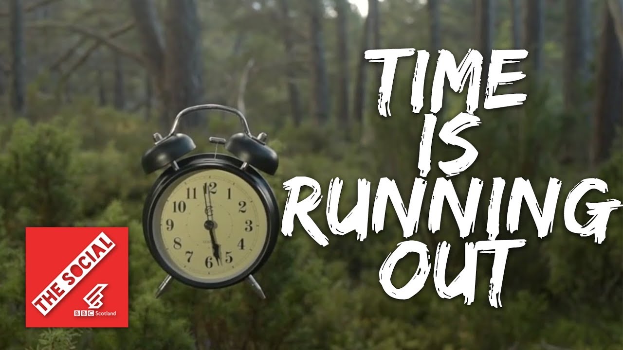 scottish youtuber dog Why We Need The Wilderness More Than Ever