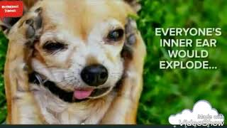 JUST imagine life without oxygen for 5 seconds.This video will shock you.