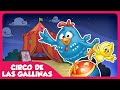 Circo de las Gallinas - Gallina Pintadita 5 - Canciones infantiles de la Gallina