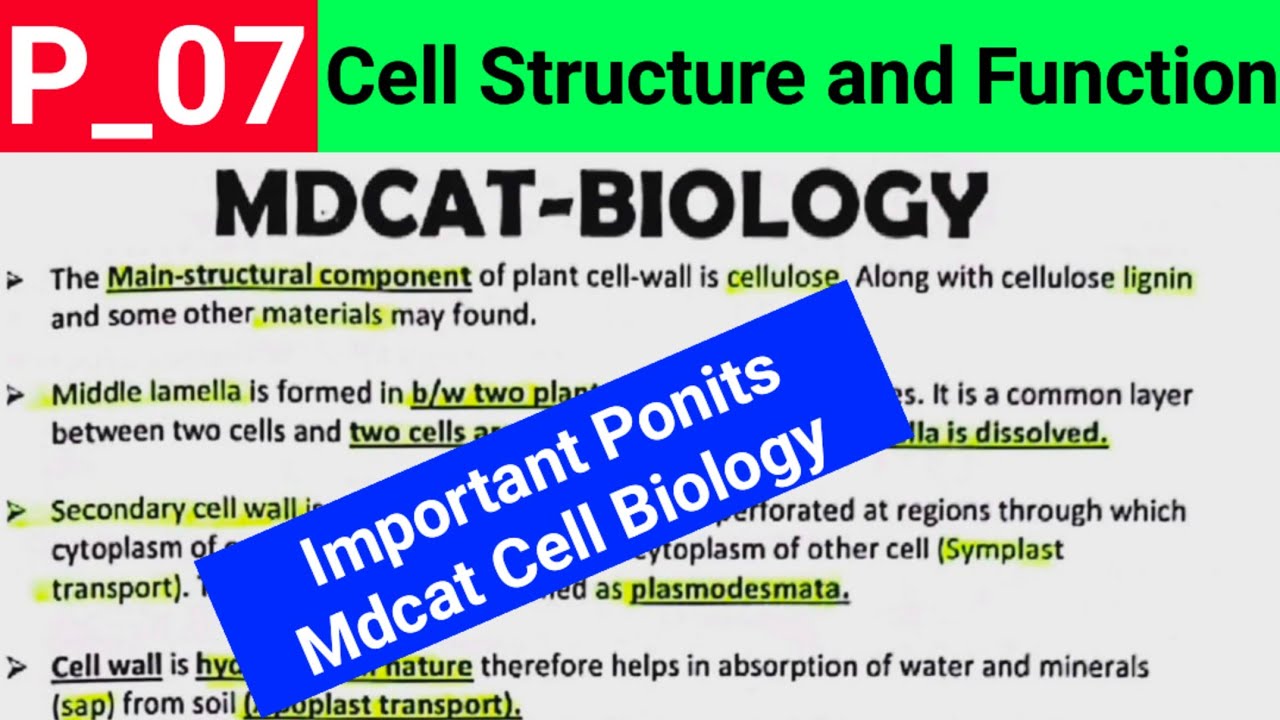 mdcat biology important mcqs points from cell structure and function ...