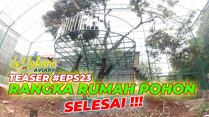 EPISODE AVIARY TERBARU !!! RANGKA RUMAH POHON SELESAI !!!