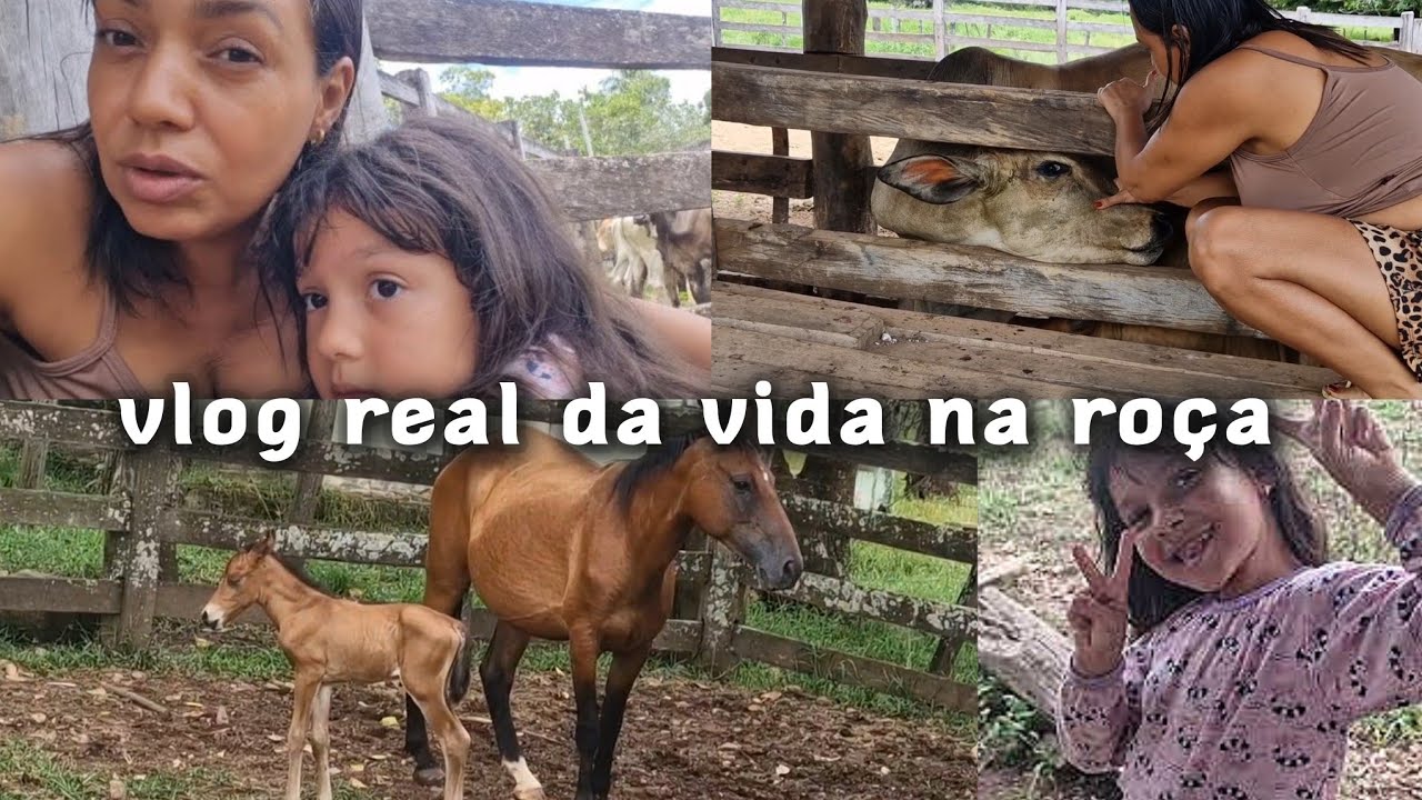 Mãe na Roça: dia agitado com os bois e a SIMPLICIDADE DE VIVER AQUI com meus filhos 