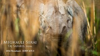 I shot another Wildlife Commercial in Nepal | 2016 Throwback - Chitwan National Park