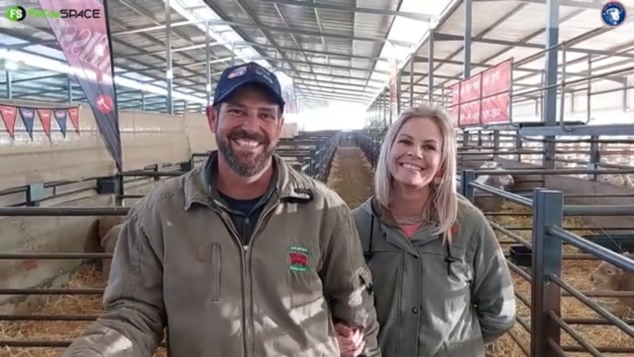 Wat beindruk vir Howard en Nicolene van die Ile de France Ras?