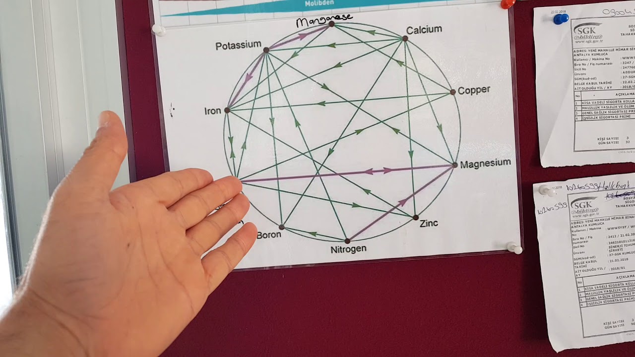 GÜBRELEME- 3 İZLEYİN-YARARLANIN. ANTAGONİZM VE LİEBİG'İN MİNİMUM YASASI.