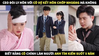 CEO đòi ly hôn với cô vợ kết hôn chớp nhoáng mà không biết rằng cô chính là người anh đang tìm kiếm