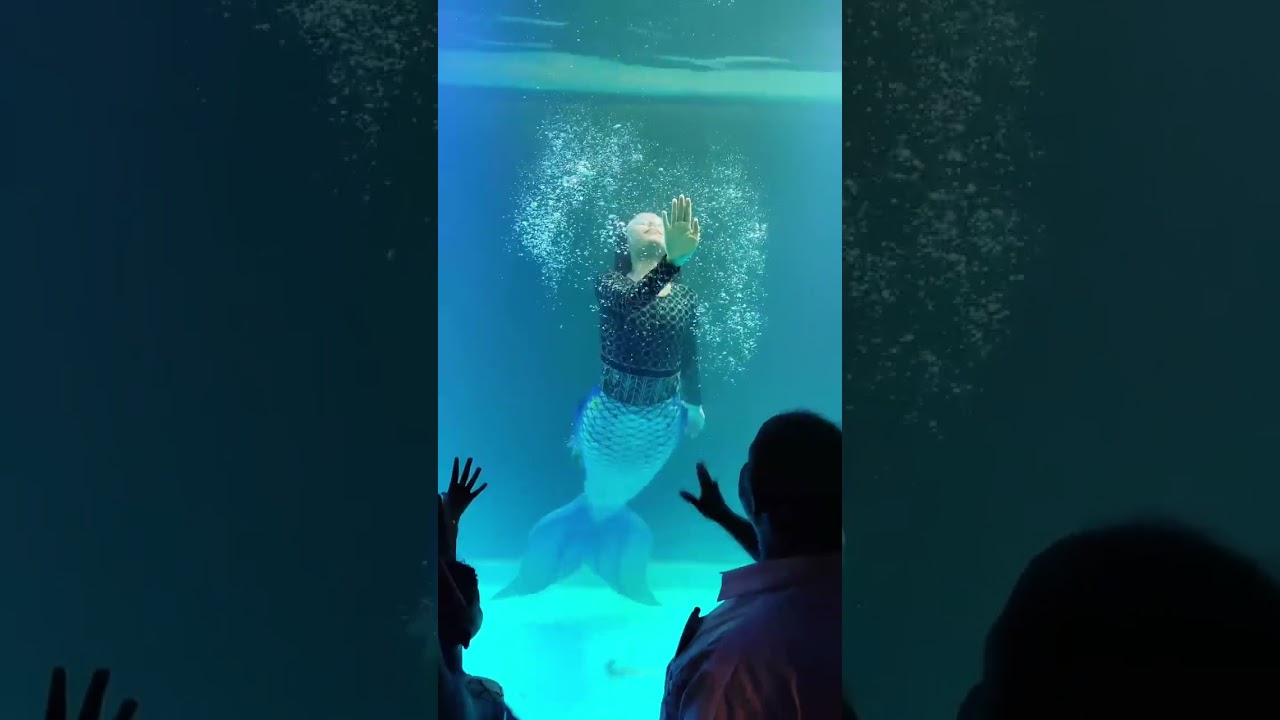 Marine fantasy world trivandrum