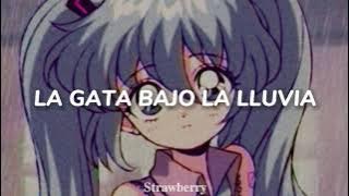 La gata bajo la lluvia - (Cover: Hatsune Miku) | Lyrics español