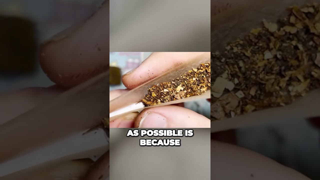 The Spliff Should Always Be Tight By The Roach! 