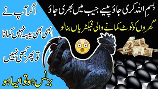 Part Time Business in Pakistan | Ayam Cemani Business | Ayam Cemani Farming in Pakistan | Kali Murgi by Pak Pet Zone 3,184 views 7 months ago 14 minutes, 59 seconds