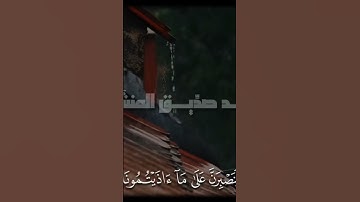القارئ محمد صديق المنشاوي #viralvideo #القرآن_الكريم #اكسبلور #ايات_قرانيه_قصيره #راحة_نفسية #قرآن