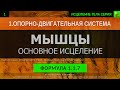 1.1.7 🎧 Здоровые Мышцы ГЛУБОКОЕ ИСЦЕЛЕНИЕ (резонансный саблиминал)