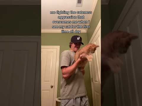 Video: Mano šuo negali atsikelti po prisiminimų