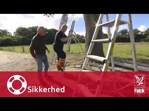 Video: Hvordan Overraske En Skorpionmann