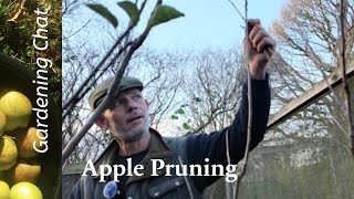 🍏 Apple Tree Pruning Made Easy 🌿 Pruning a Heritage Apple Tree & Building a Dead Hedge for Wildlife 