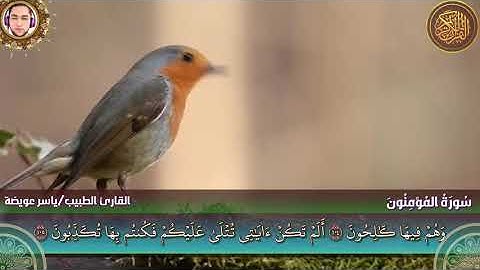 تلاوة عطرة لسورة المؤمنون - القارئ ياسر عويضة
