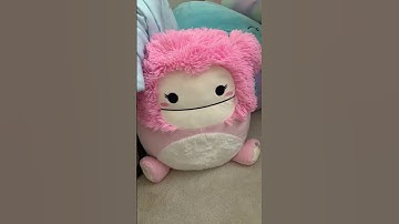 Collector check (squishmallow edition)