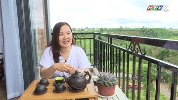 SEN VILLA - TP. BẢO LỘC - LÂM ĐỒNG - CT ĐỒNG HÀNH HÀNG VIỆT 334.2020