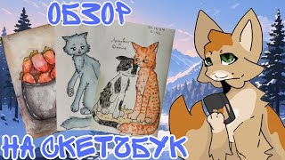 картинка: Обзор на скетчбук🌸. Коты воители)