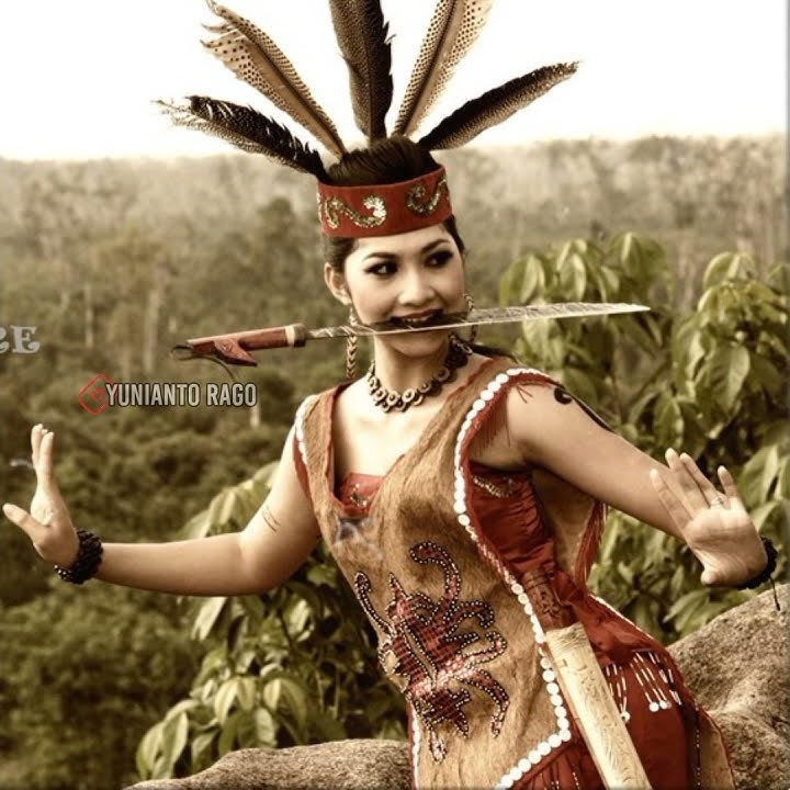 Story wa dayak Kalimantan