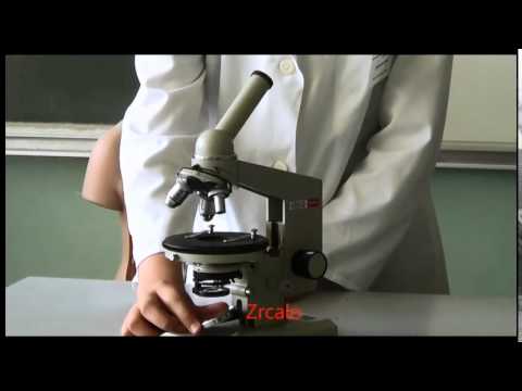 Biologija - građa mikroskopa - 1. razred
