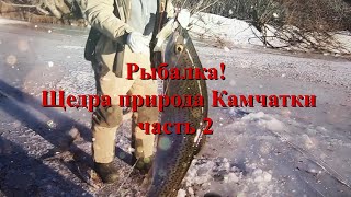 Рыбалка с ночевкой на Камчатке! часть 2